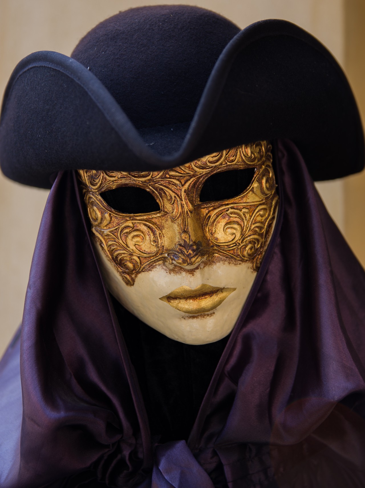 Venice Carnival costume