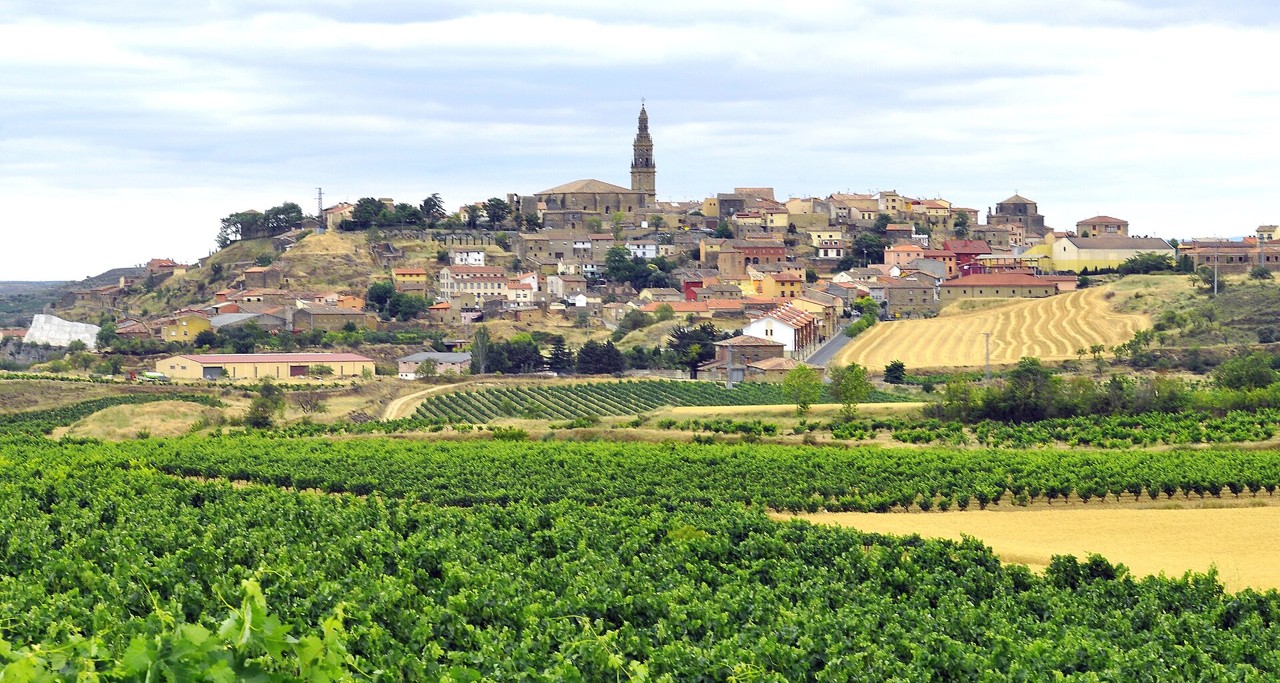 Briones 02