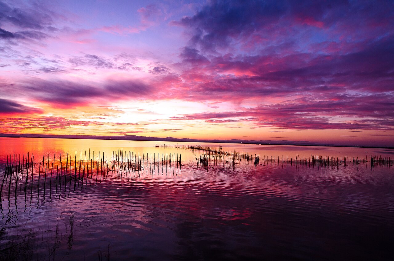 Albufera sunset